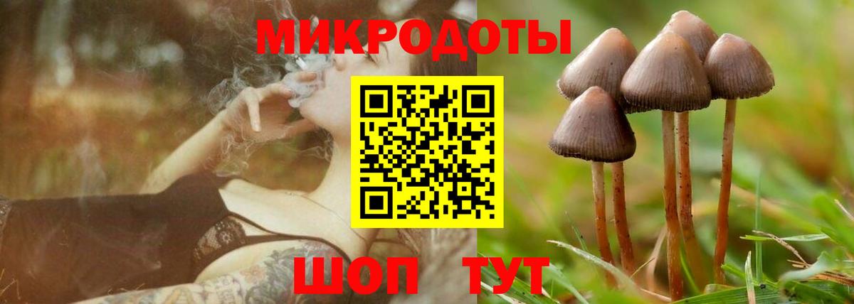 Галлюциногенные грибы MAGIC MUSHROOMS Усть-Кут